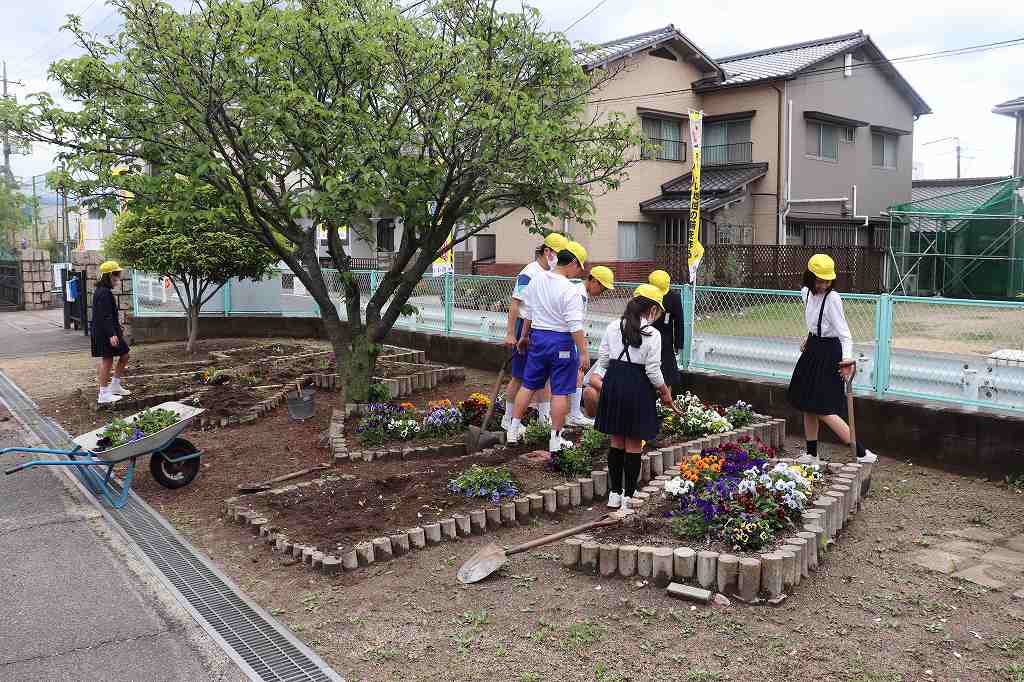 水小かだんも