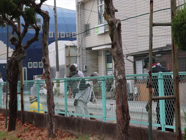 学校周りも