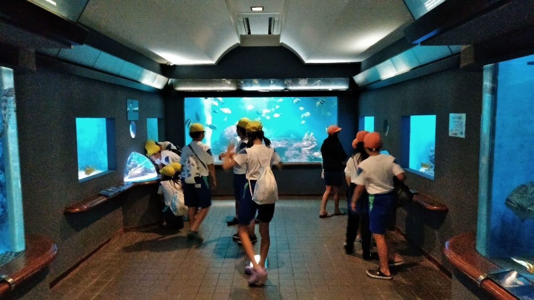 海洋博物館