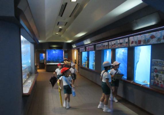 渋川水族館2