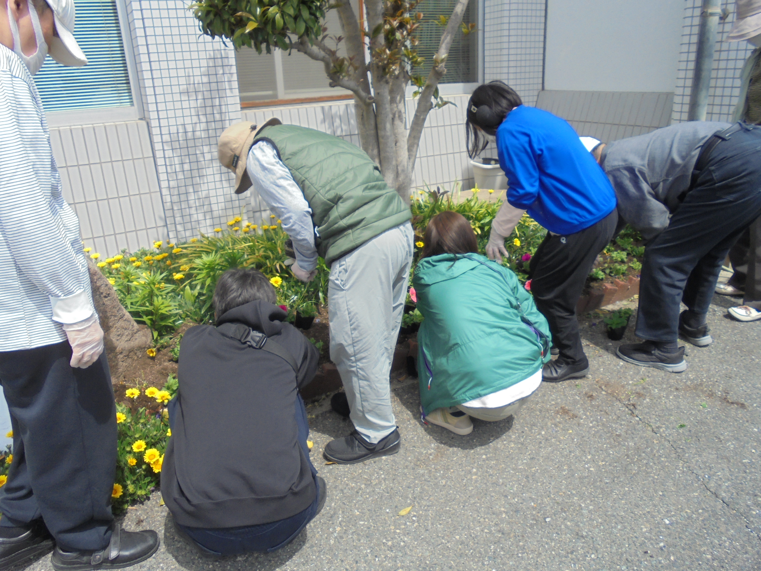 花植え写真その1