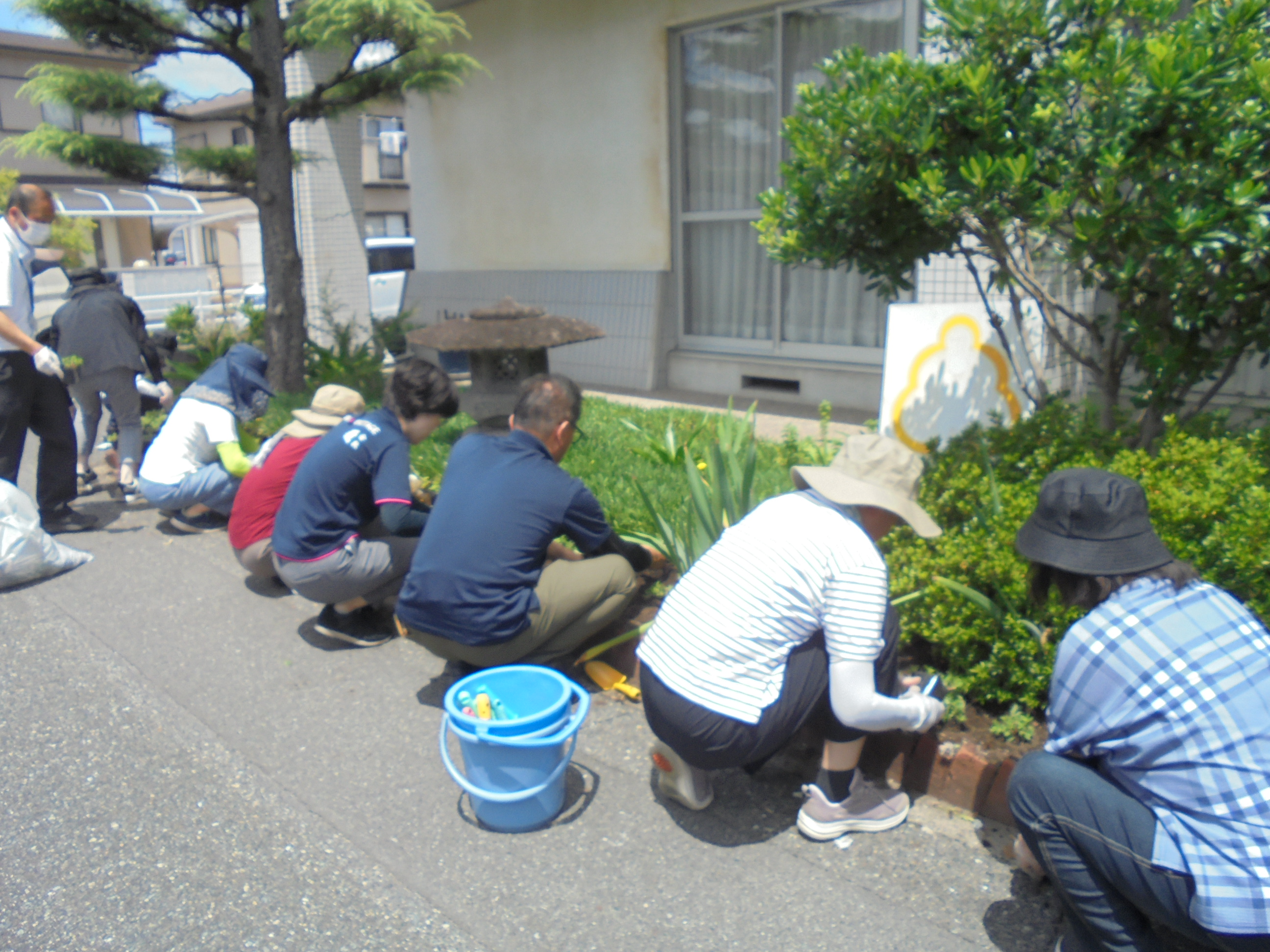 花植え写真その2