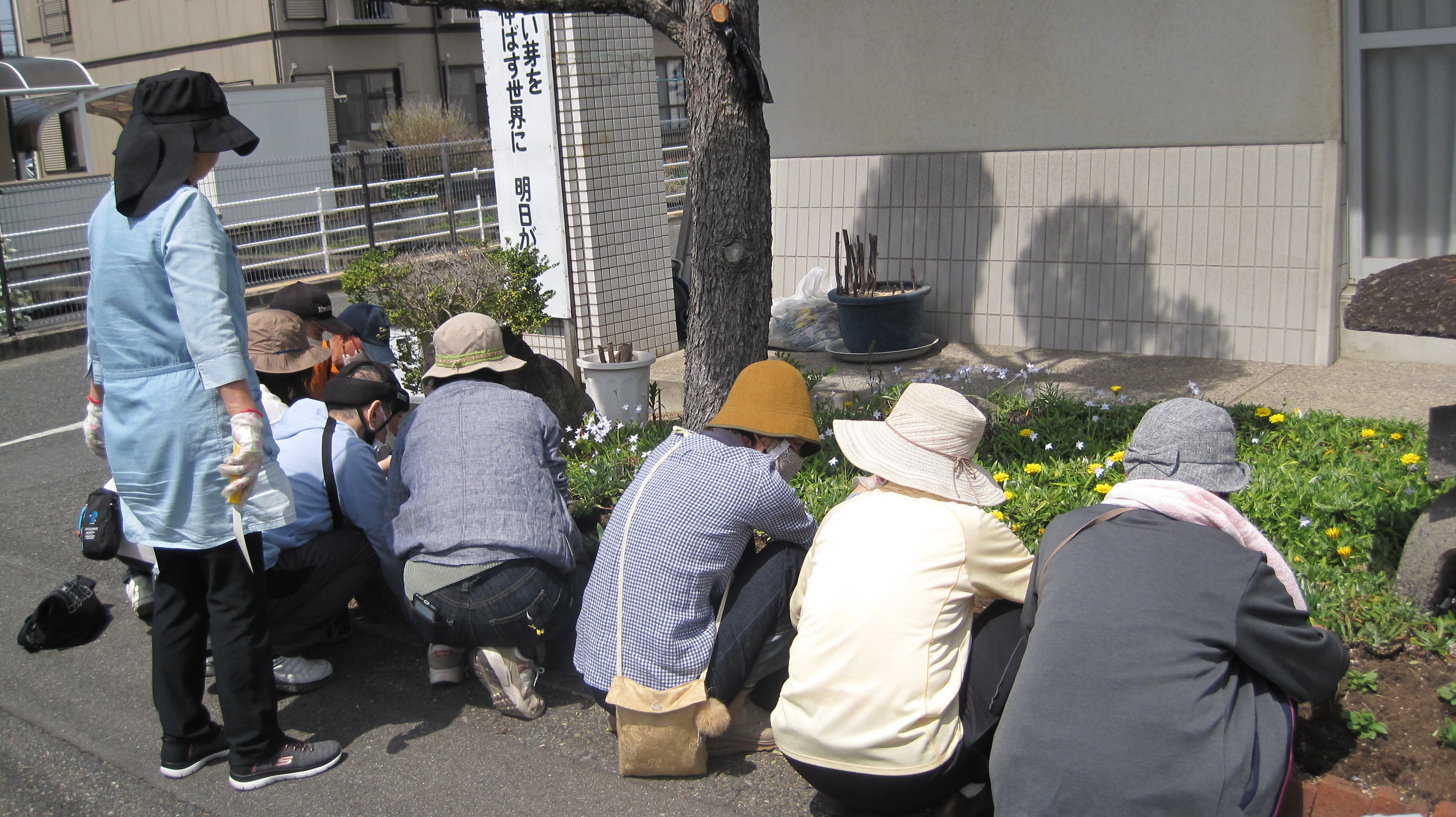 ぺちゅ