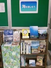 海を楽しもう