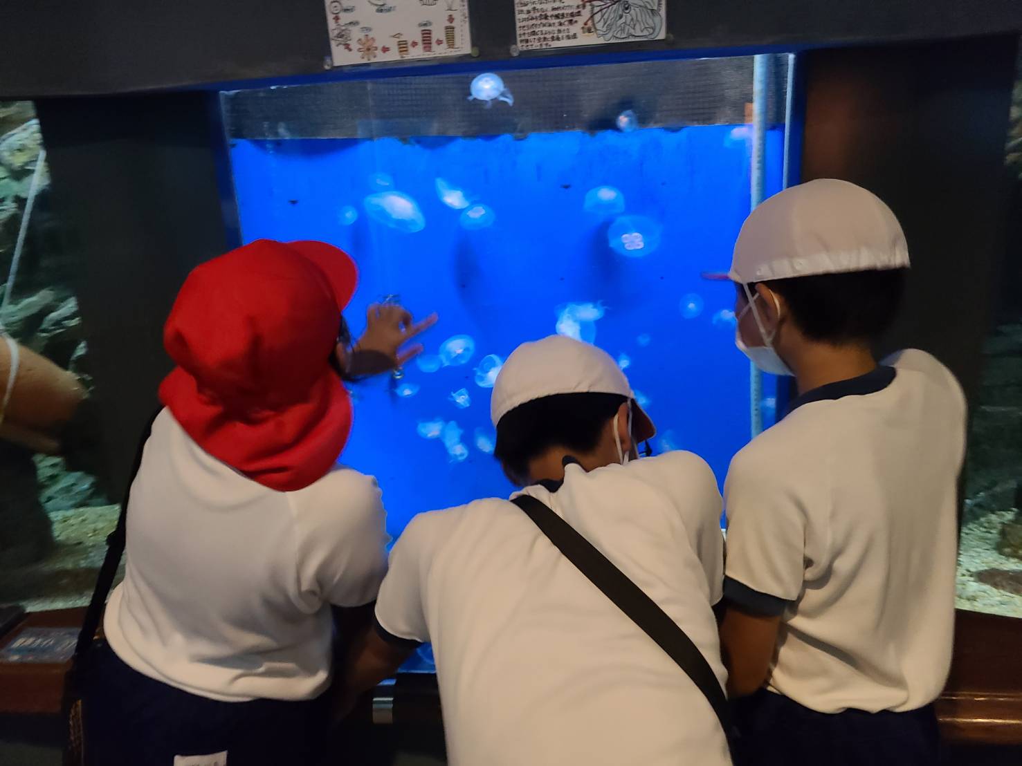 水族館