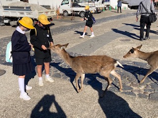 鹿とたわむれています