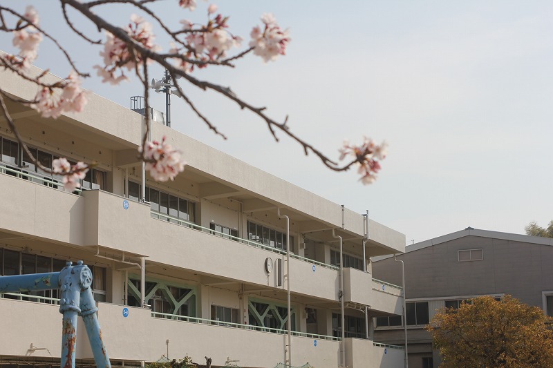 桜と校舎