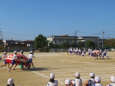 大亀運びをする５年生