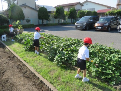 比例の性質を使って問題を解く５年１組の子ども