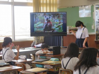 総合的な学習の時間に調べた世界の句について発表する６年１組の子ども