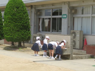 校舎の外には，どこに水道があるかを調べる４年１組の子どもたち