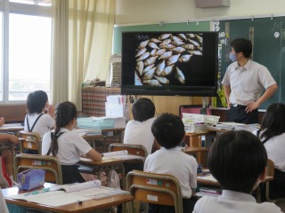 養殖業について学習し，赤潮のビデオを見る５年１組の子どもたち