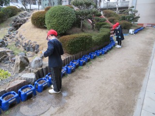 チューリップに水をやる１年生