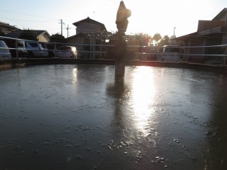 今朝の冷え込みで凍った池