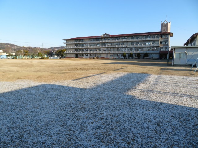 校庭の芝の上にうっすらと雪が積もりました。