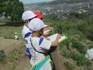 亀島山から見える建物や土地の活用の様子を地図記号であらわす３年生