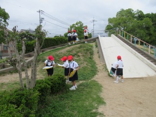 第３公園に夏見つけに行った１年生